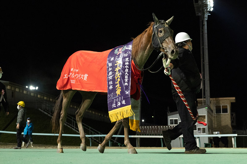 2021年 スピーディキック　重賞連勝でダートグレード制覇