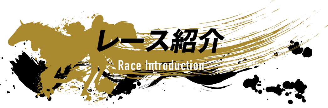 レース紹介　Introduction