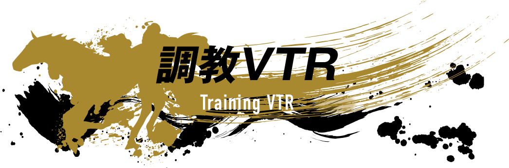 調教VTR　Training VTR