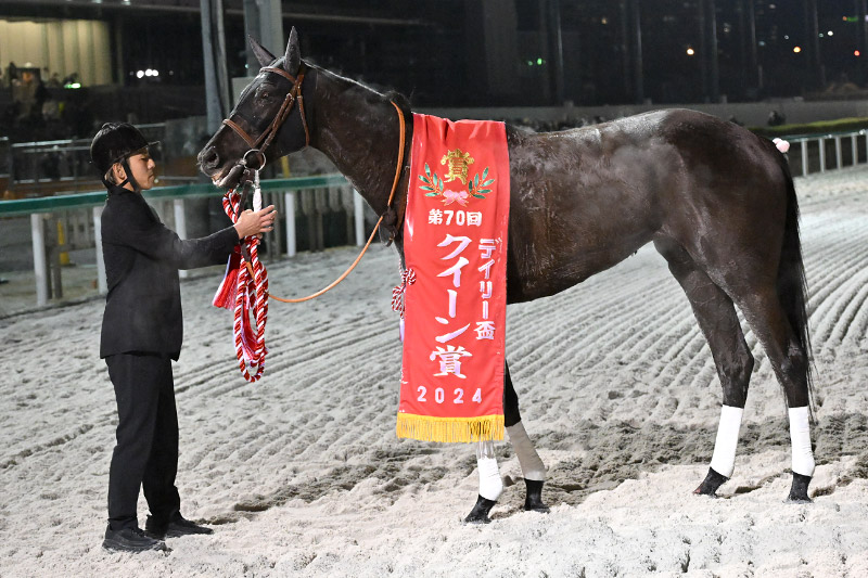 2024年 アーテルアストレア　早め進出から直線差し切り完勝