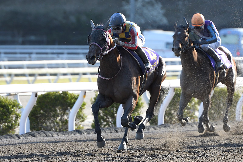 2023年 シャマル 直線突き放し人気に応える