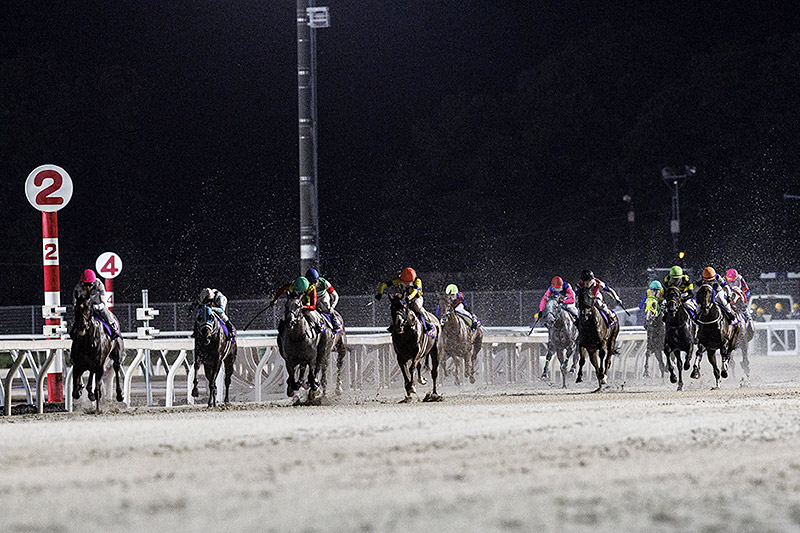 2024年 オーサムリザルト 圧倒的人気にこたえ5馬身差