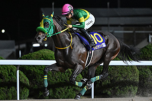 過去5年の競走成績 2024