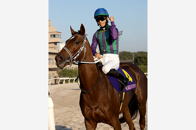 2023年 アイコンテーラー 早め先頭から独走4馬身差