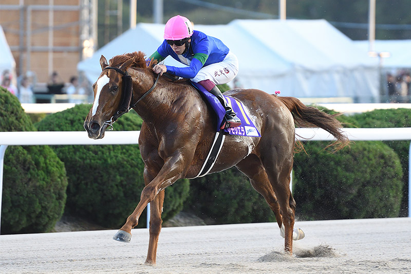 2024年 アンモシエラ 歴戦の古馬を一蹴しJpnI初制覇