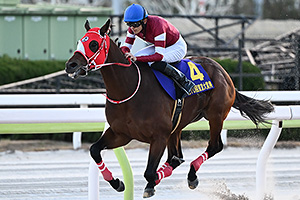 過去5年の競走成績 2024