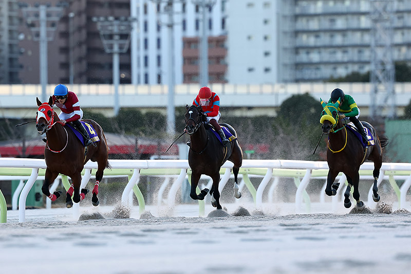 2024年 フォーエバーヤング 断然人気にこたえ古馬を一蹴