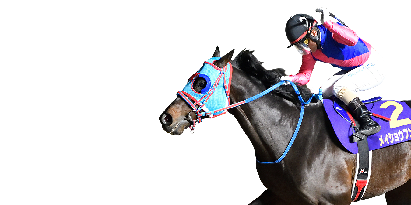 佐賀記念 ゴール前