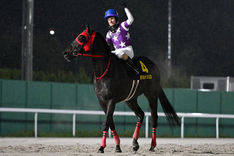 2024年 サンライズホーク　鞍上の好判断で逃げ切る