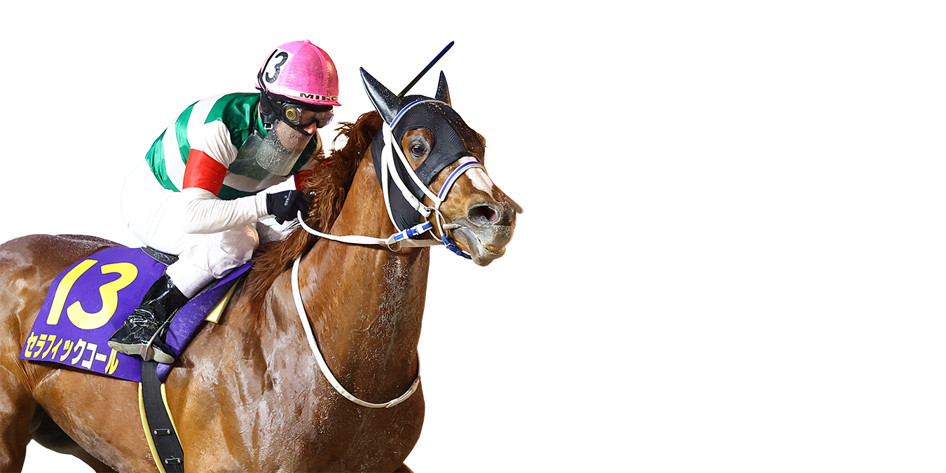 ダイオライト記念 ゴール前