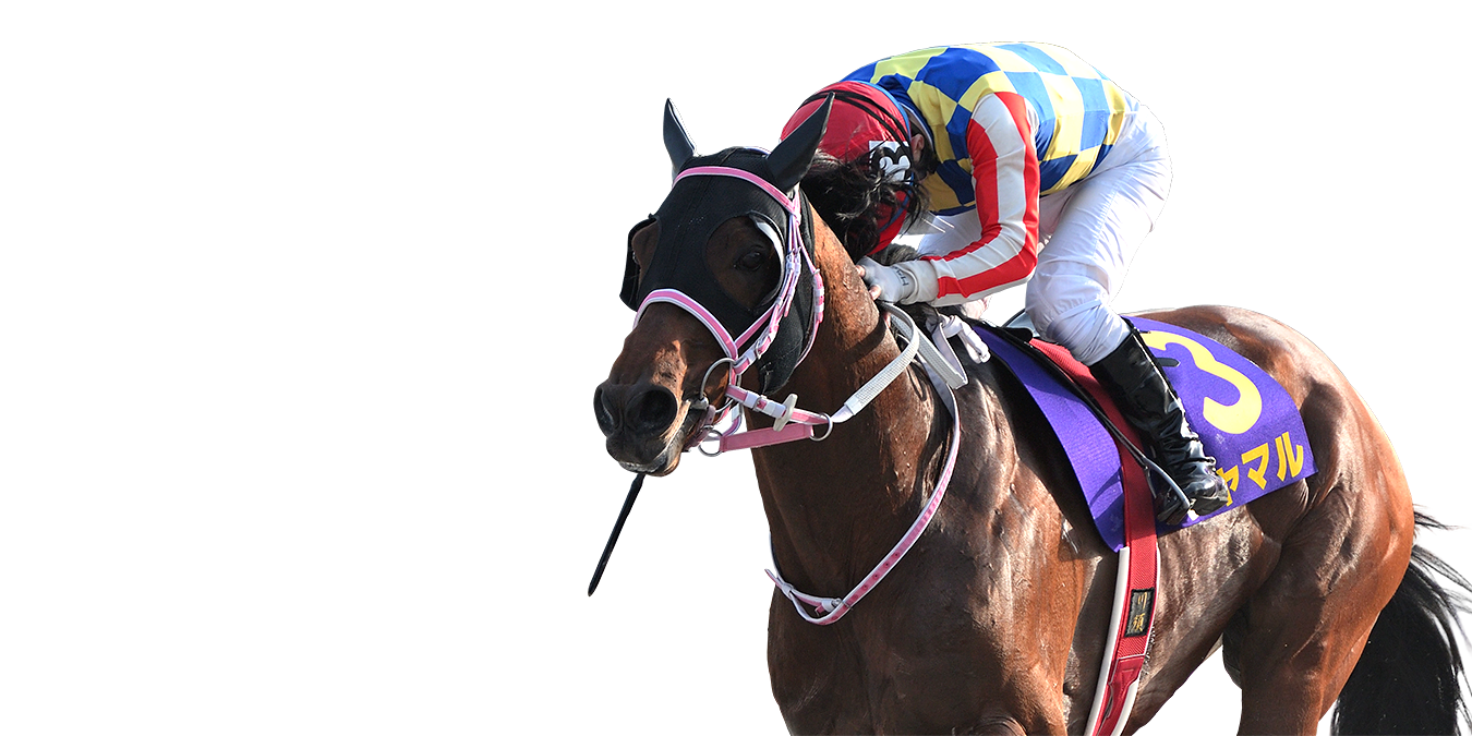 2026年03月24日(火) 黒船賞 JpnIII