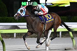 過去5年の競走成績 2025