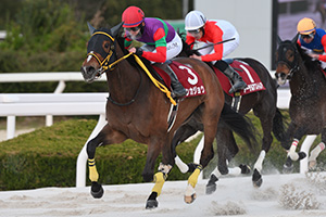 過去5年の競走成績 2025