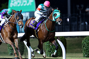 過去5年の競走成績 2024