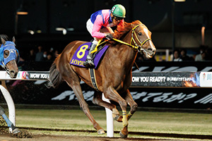 過去5年の競走成績 2025