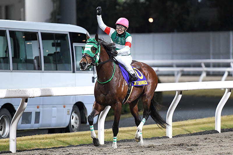 2024年 ライトウォーリア　地元川崎で歓喜のJpnI初制覇