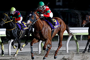 過去5年の競走成績 2024