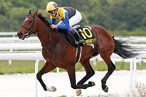 過去5年の競走成績 2024