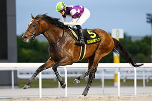 過去5年の競走成績 2025