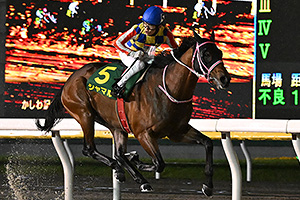 過去5年の競走成績 2024