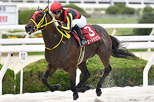 過去5年の競走成績 2024