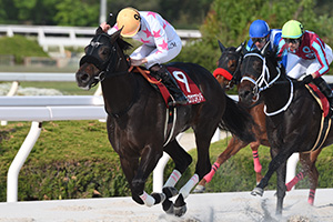 過去5年の競走成績 2025