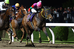 過去5年の競走成績 2025