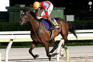 過去5年の競走成績 2024