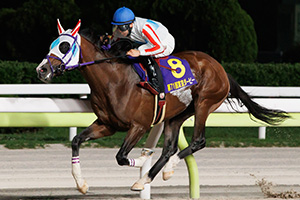 過去5年の競走成績 2025