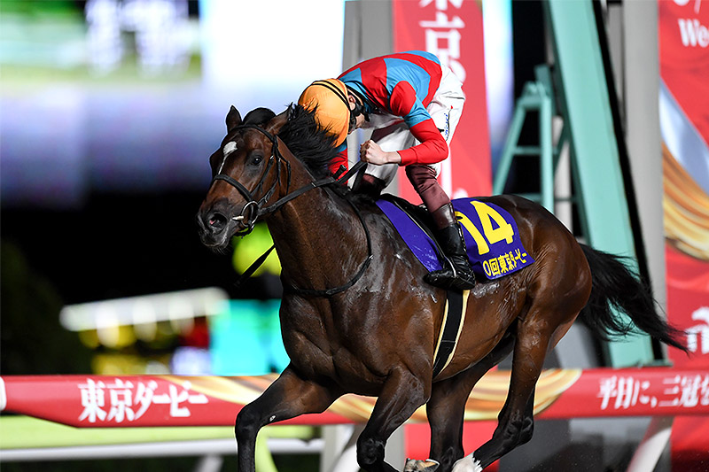 2024年 ラムジェット　攻めの競馬で6馬身差