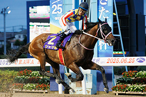 過去5年の競走成績 2025