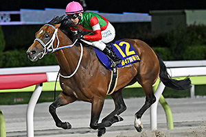 過去5年の競走成績 2024