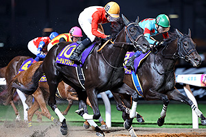 過去5年の競走成績 2024