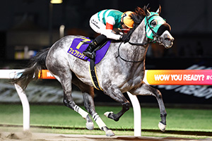 過去5年の競走成績 2025