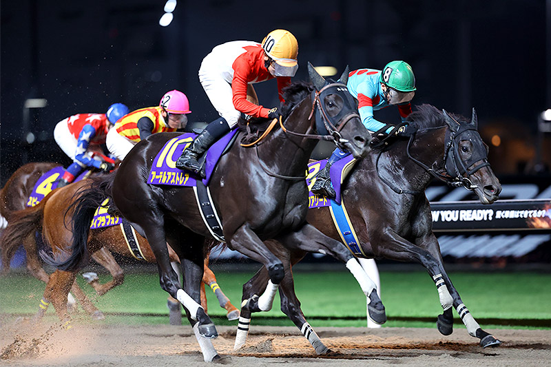 2024年 アーテルアストレア　直線勝負の末脚はじけ重賞3勝目