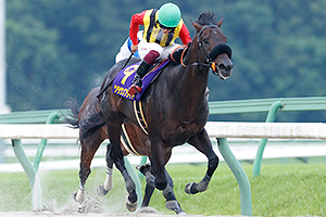 過去5年の競走成績 2024