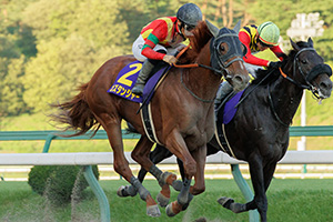 過去5年の競走成績 2025