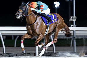 過去5年の競走成績 2025