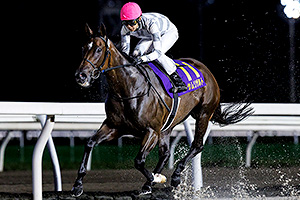 過去5年の競走成績 2024