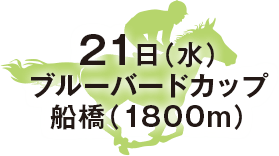 ブルーバードカップ