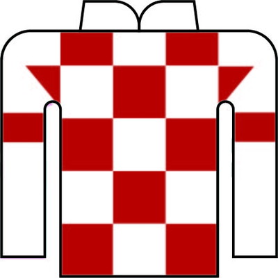 亀井 洋司 写真