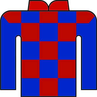 松井 伸也 写真