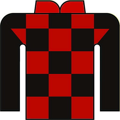 古岡 勇樹 写真