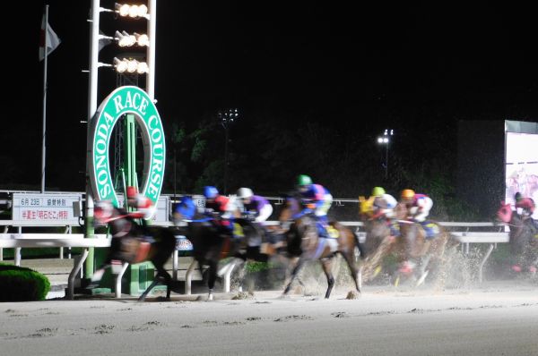 園田競馬場 写真2